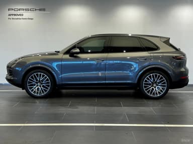 Cayenne (PO536)
