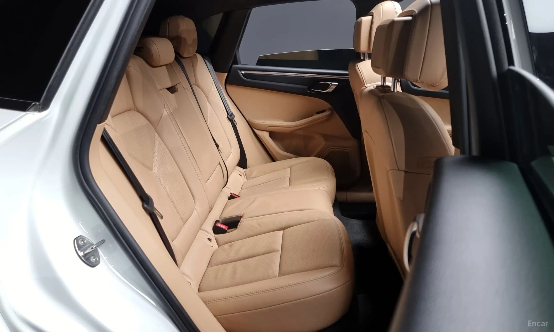 Macan
