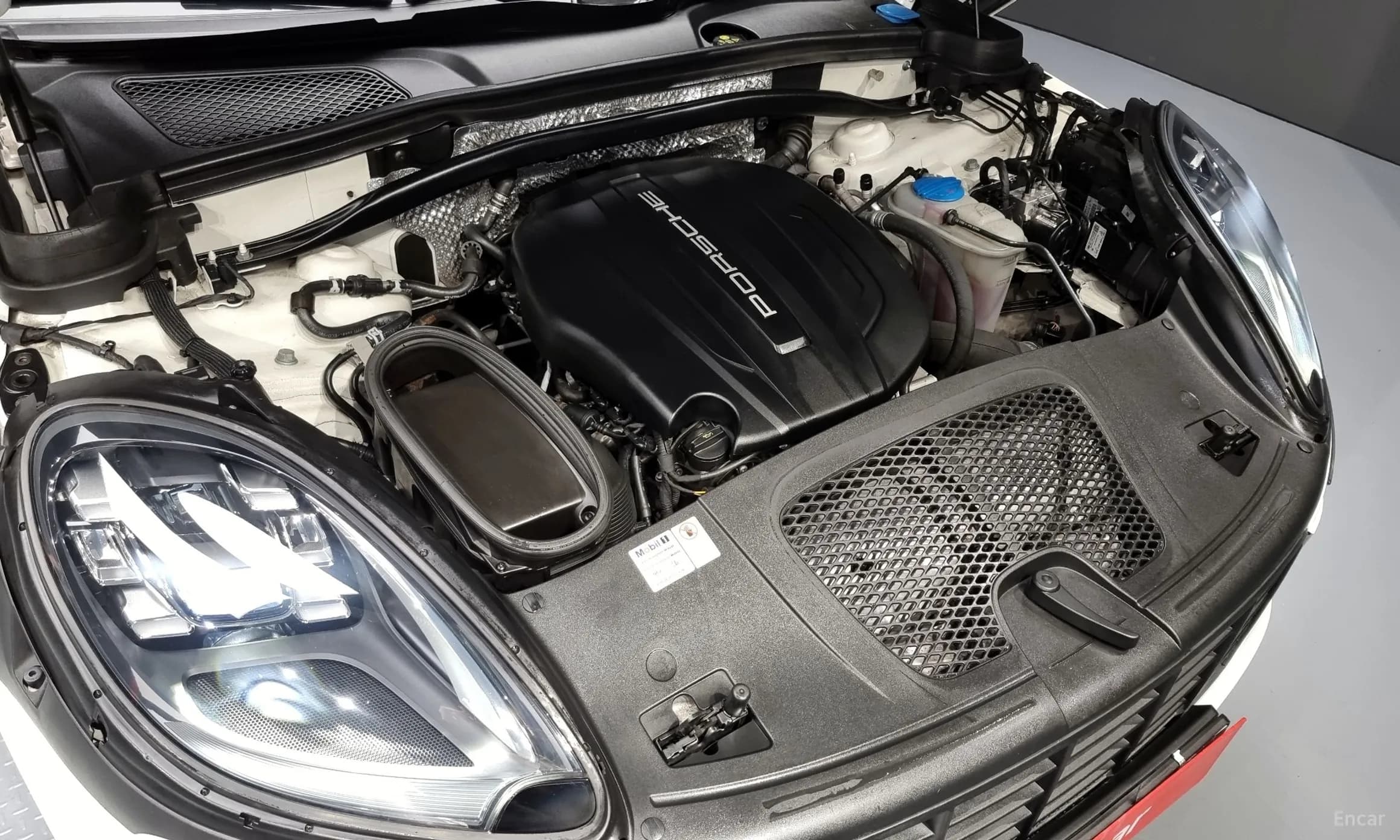 Macan