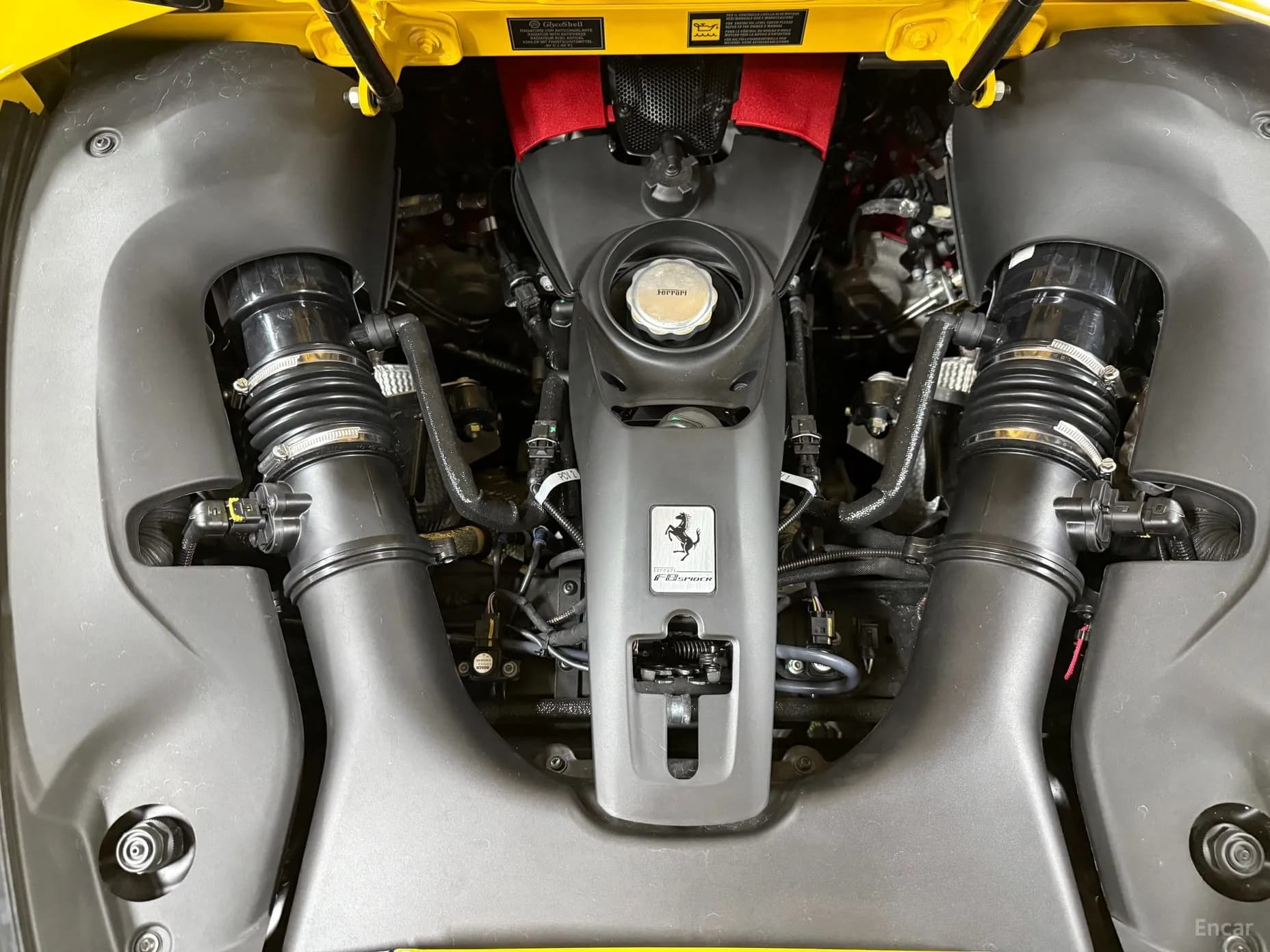 F8 Spider