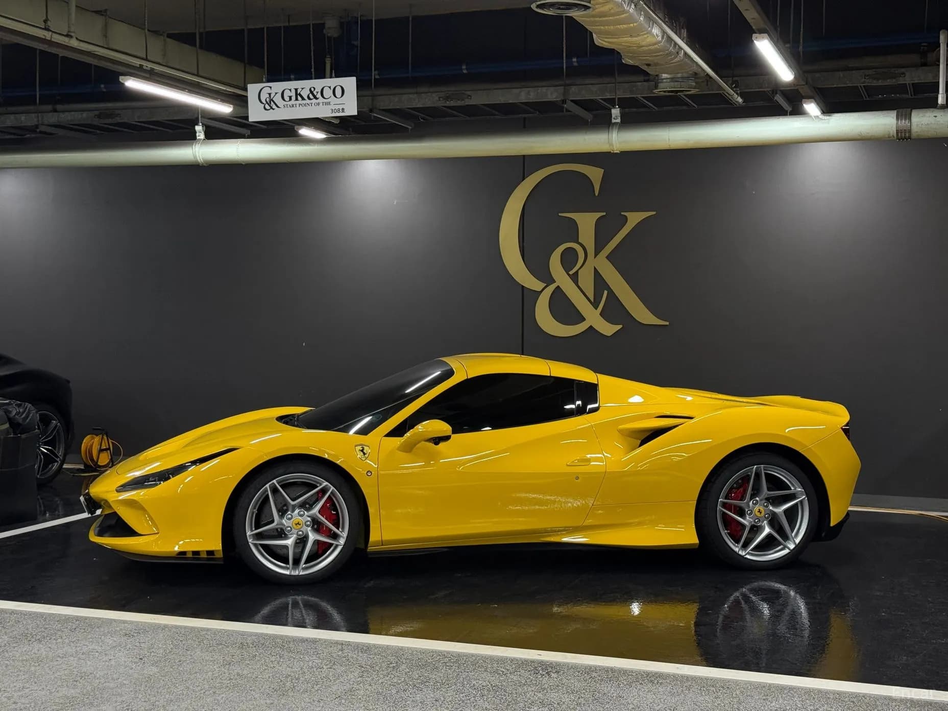 F8 Spider