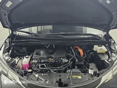 Siena 4th generation