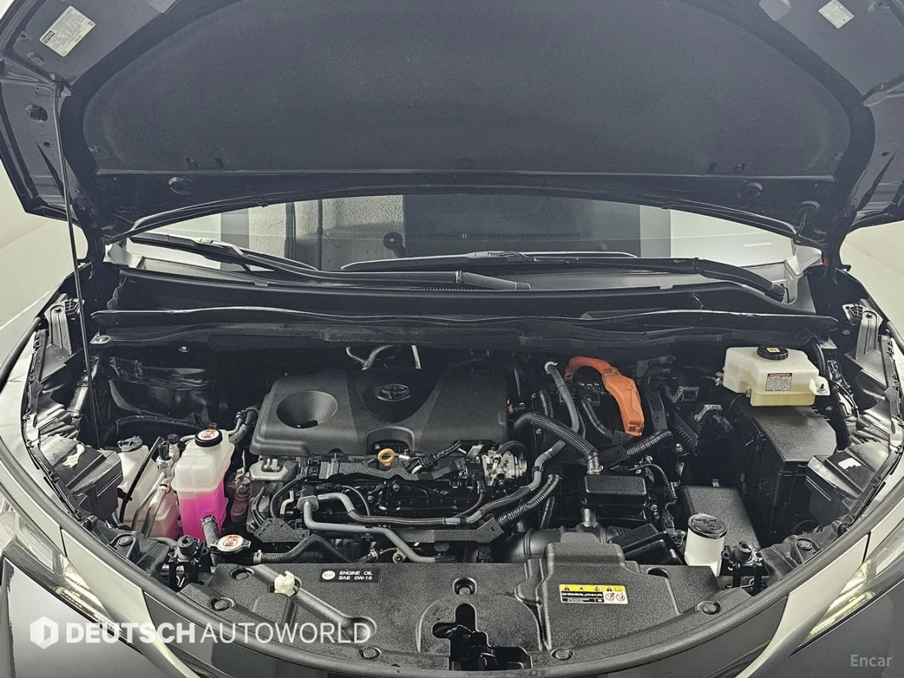 Siena 4th generation