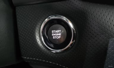 Rexton Sports