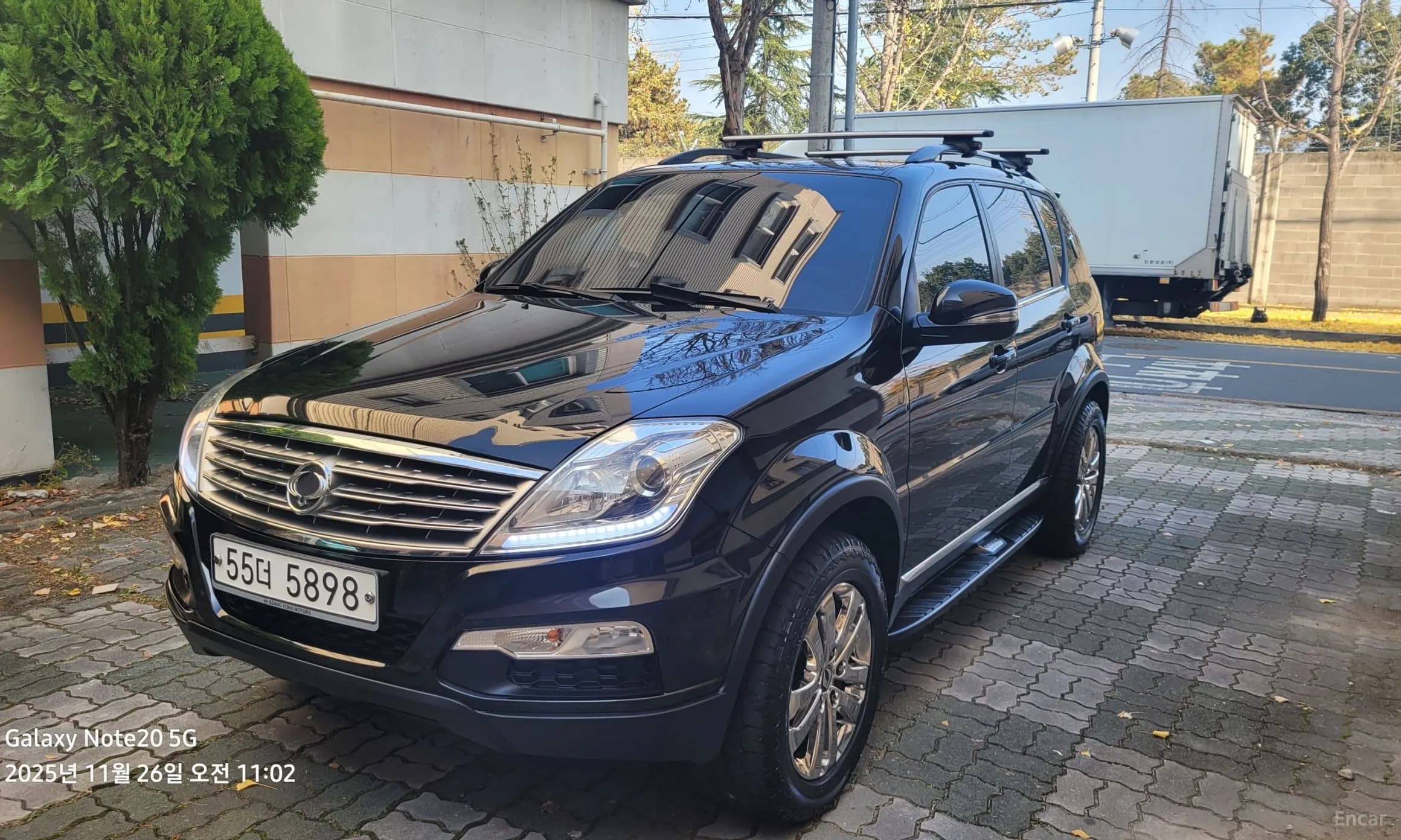 Rexton W
