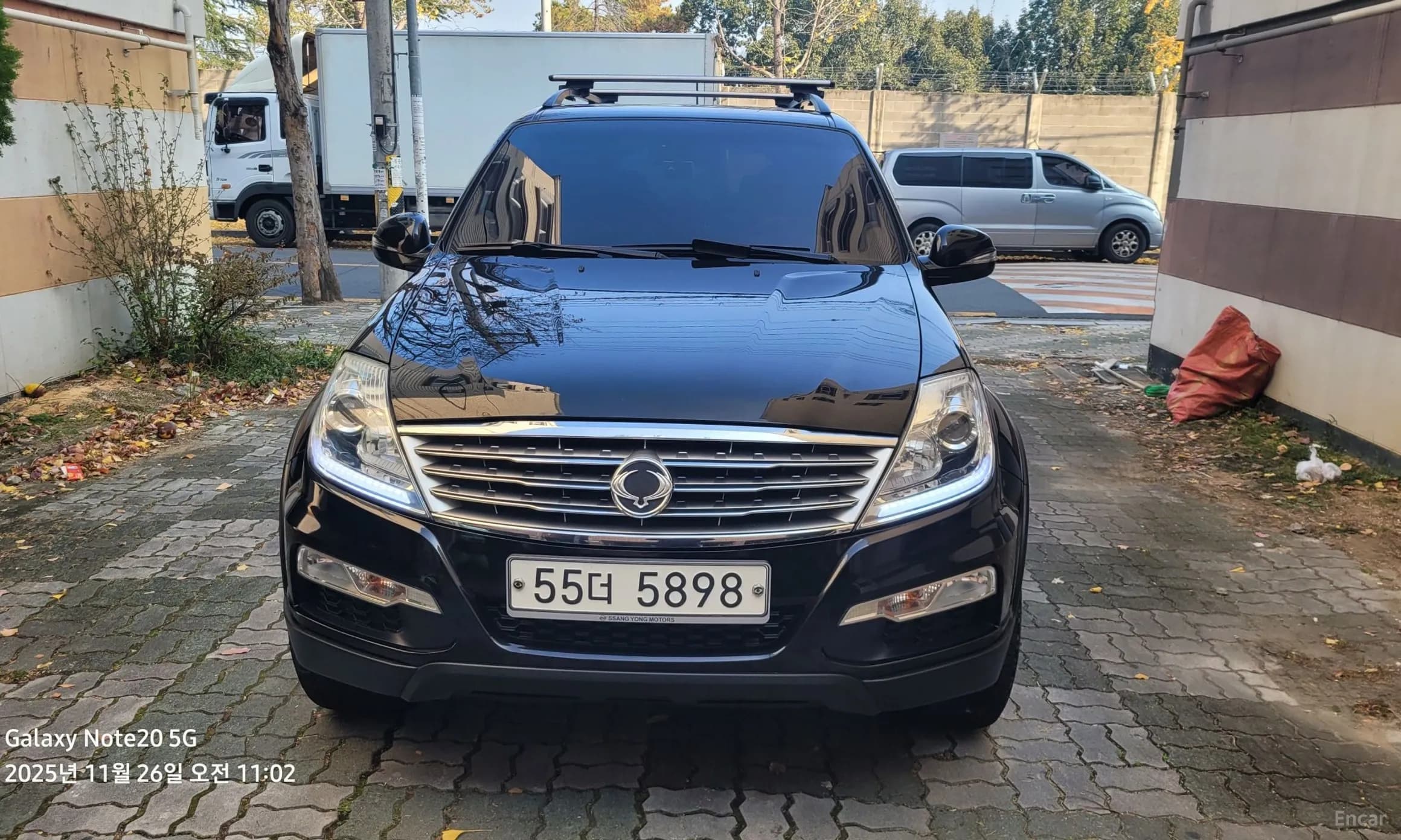 Rexton W