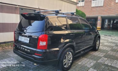Rexton W