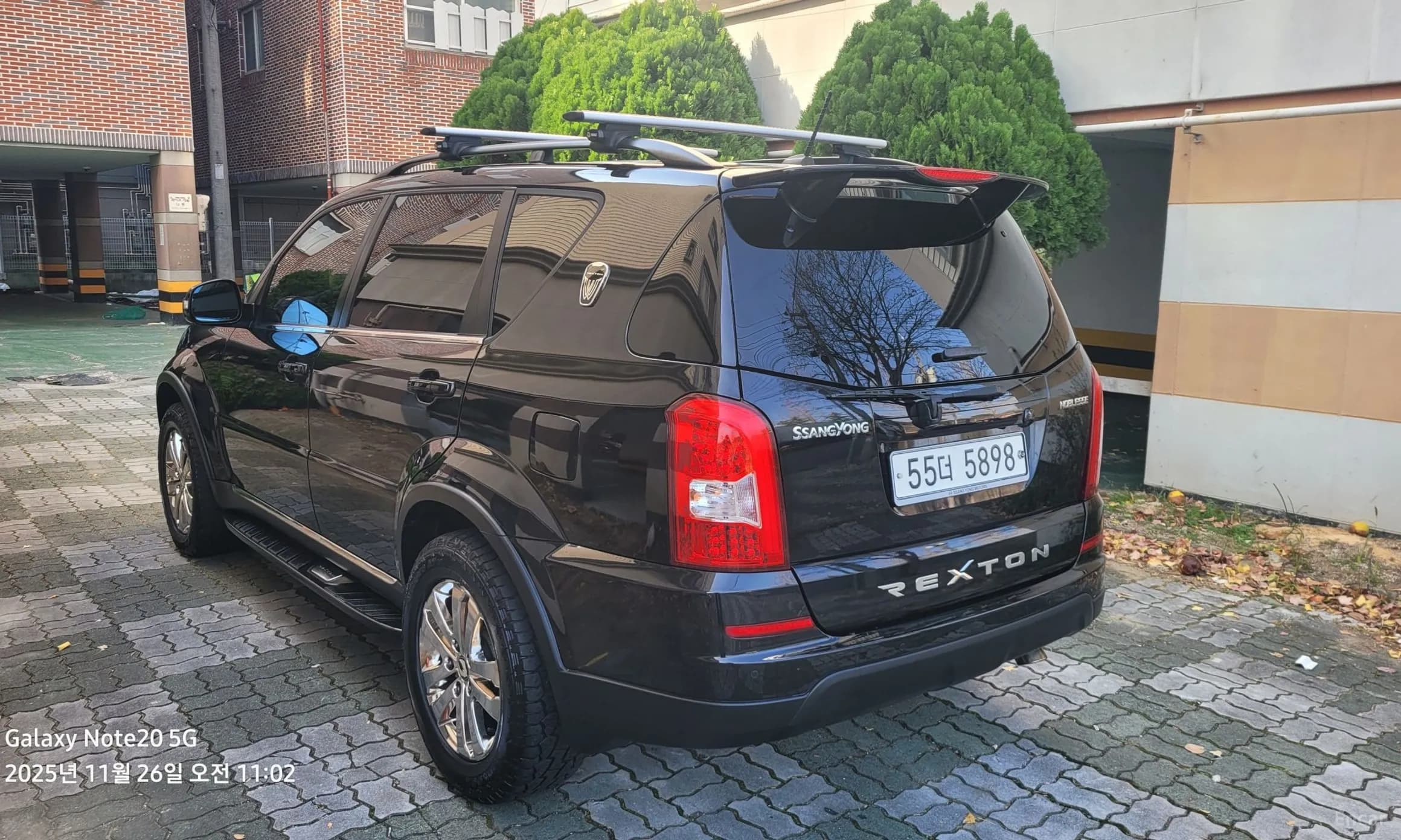 Rexton W