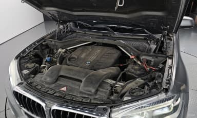 X6 (F16)