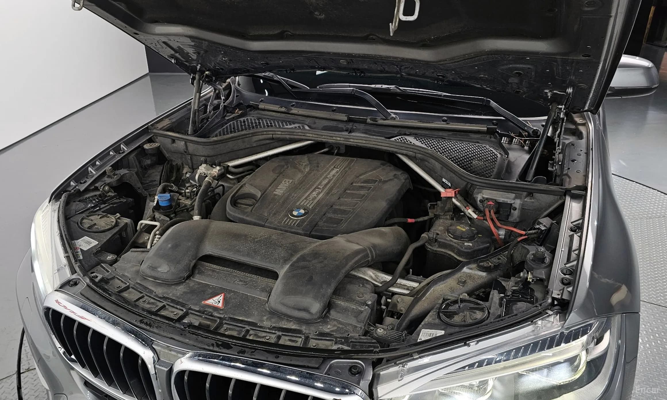 X6 (F16)