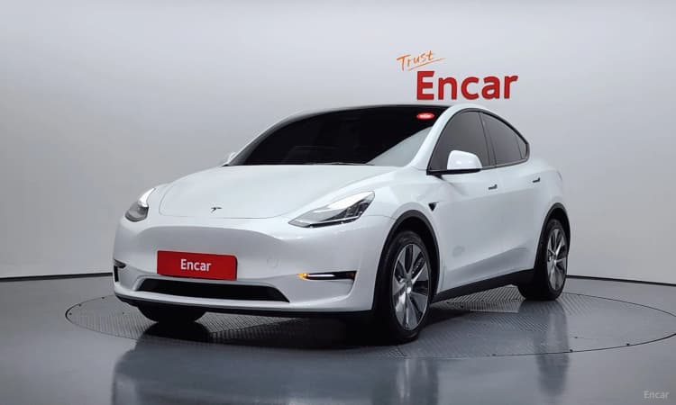 Model Y