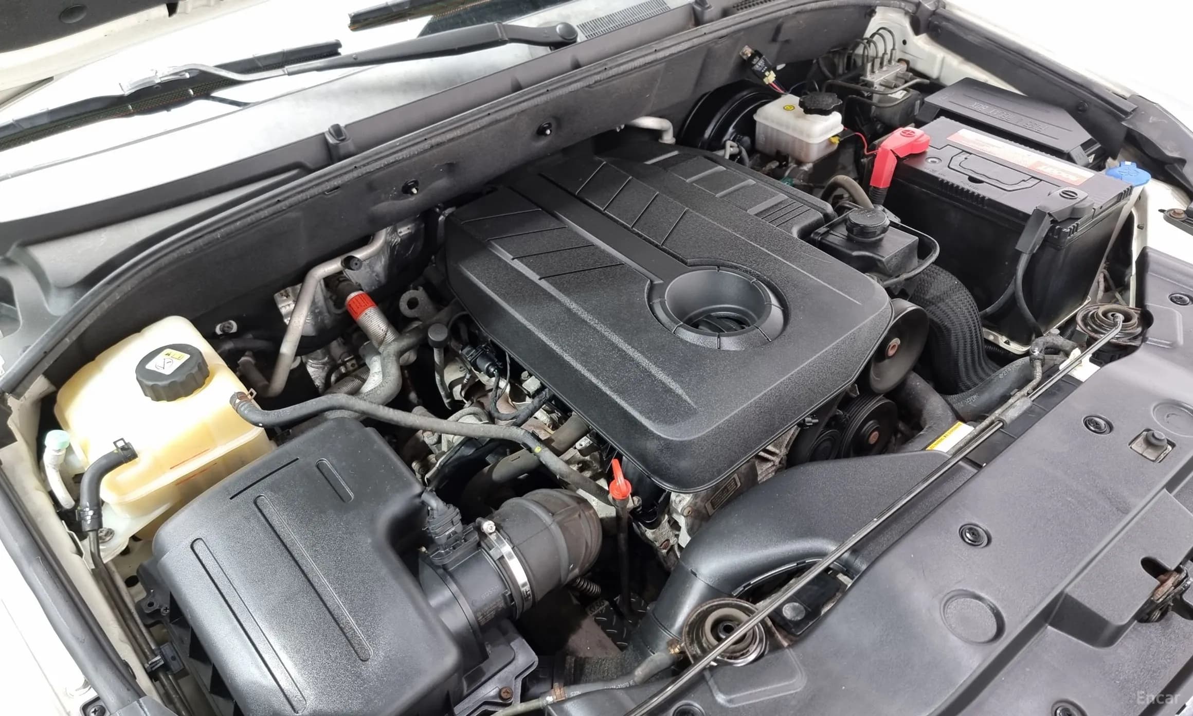 Korando Sports