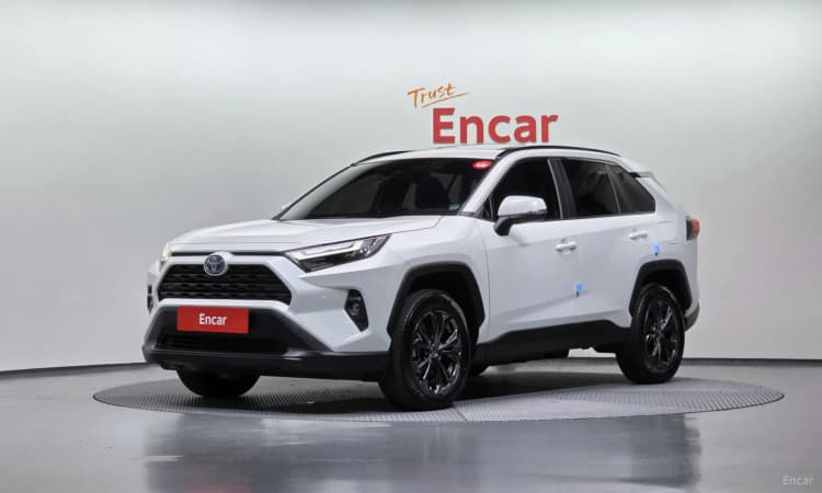 RAV4 5th Generation