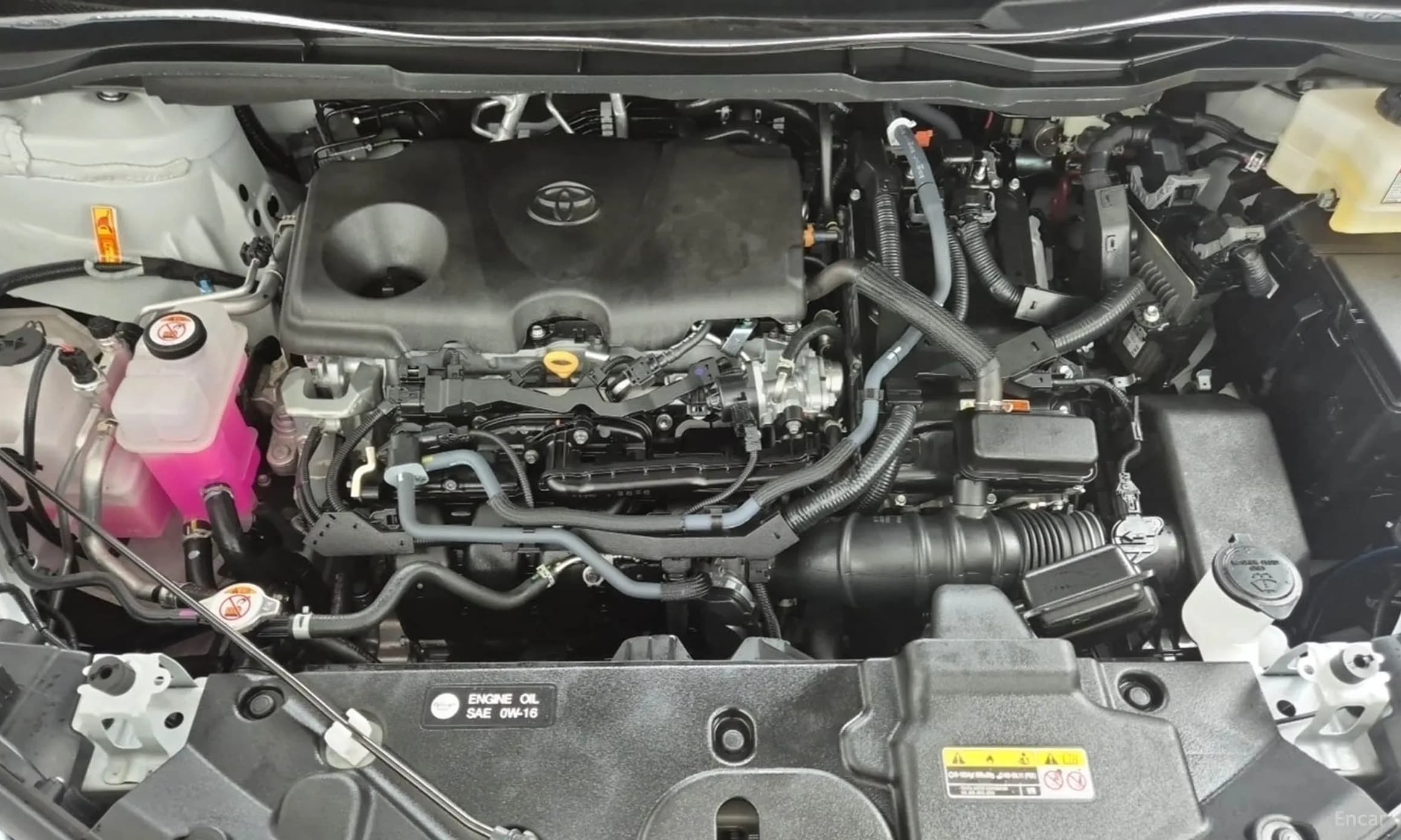 Siena 4th generation