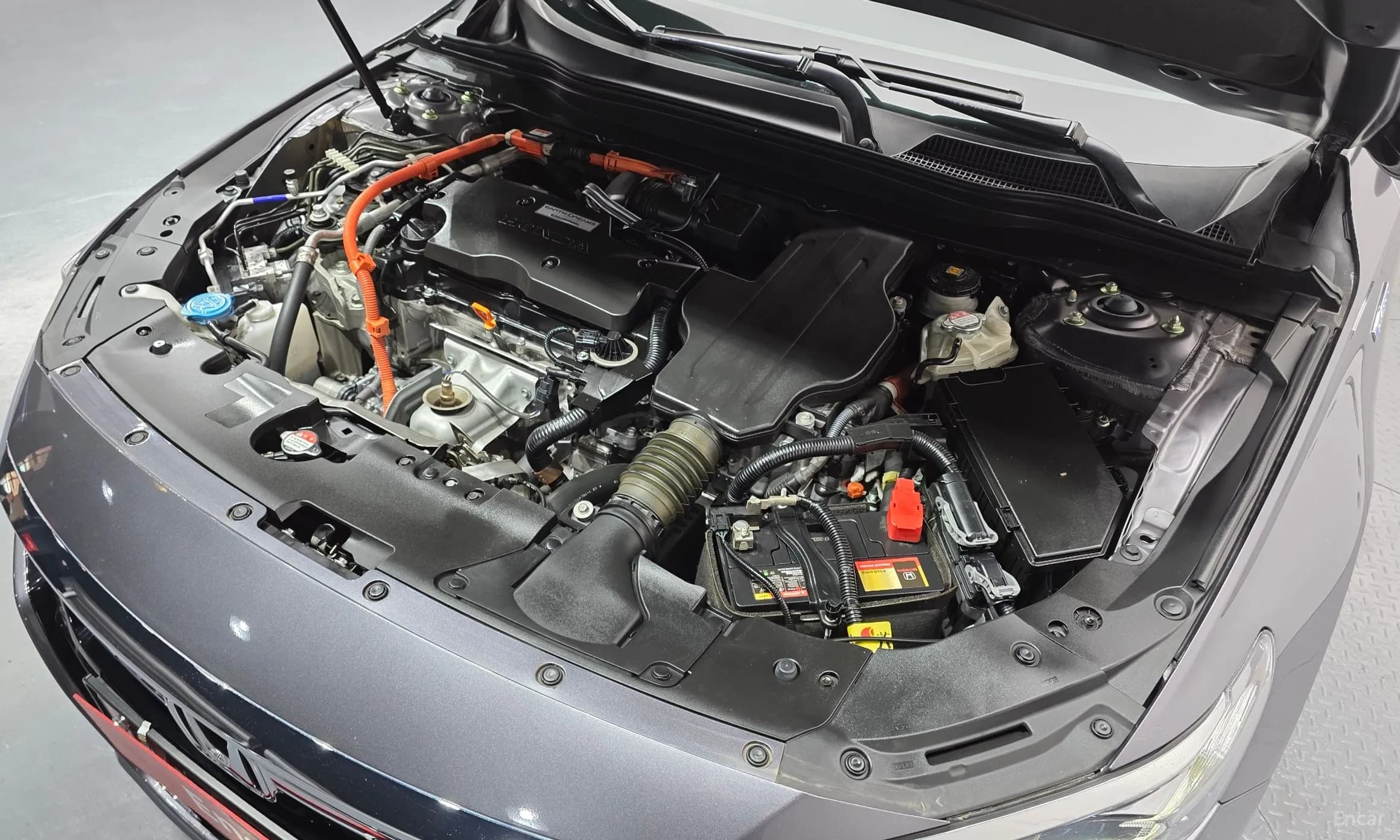 Accord 10th Generation