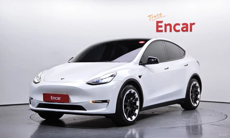 Model Y