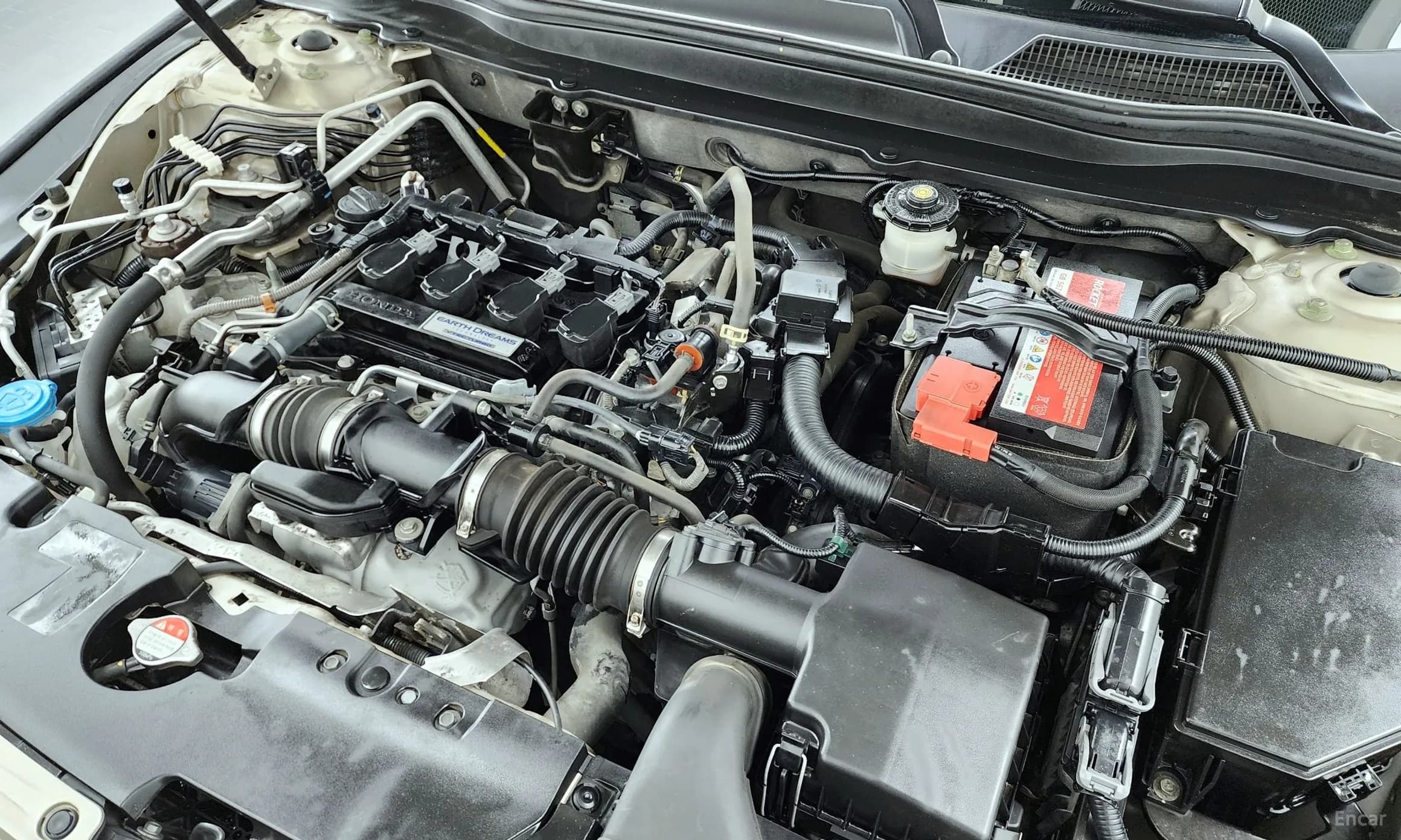 Accord 10th Generation