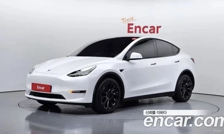 Model Y