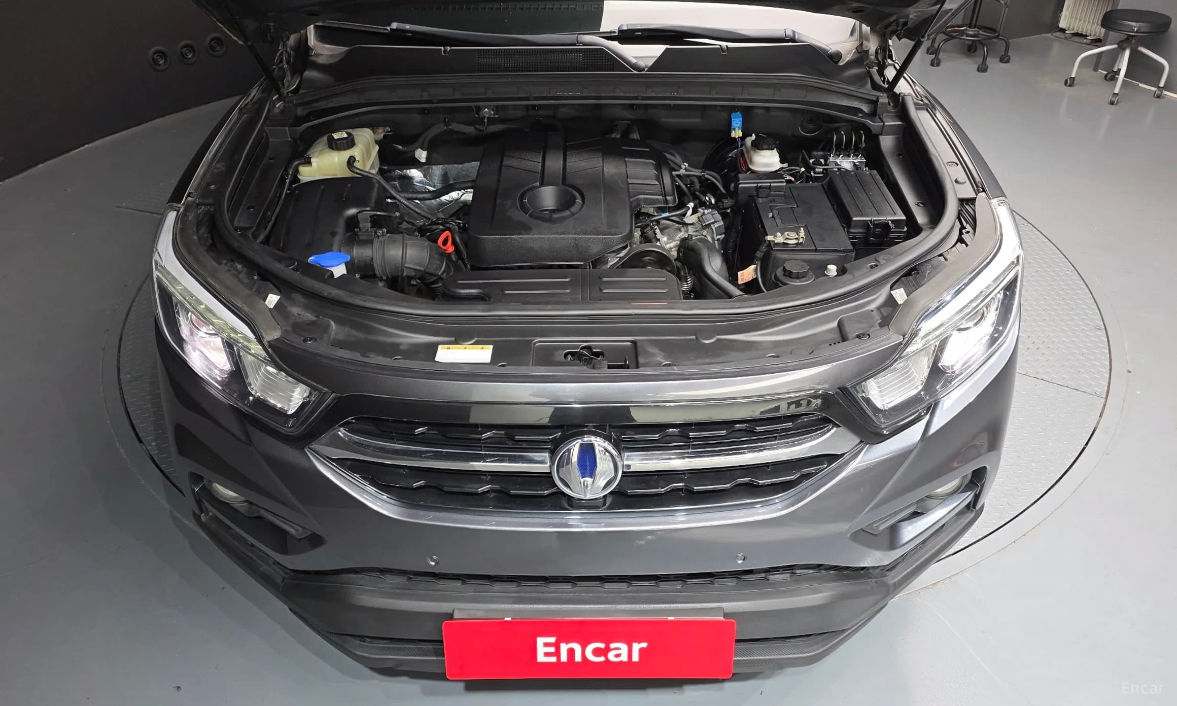 Rexton Sports