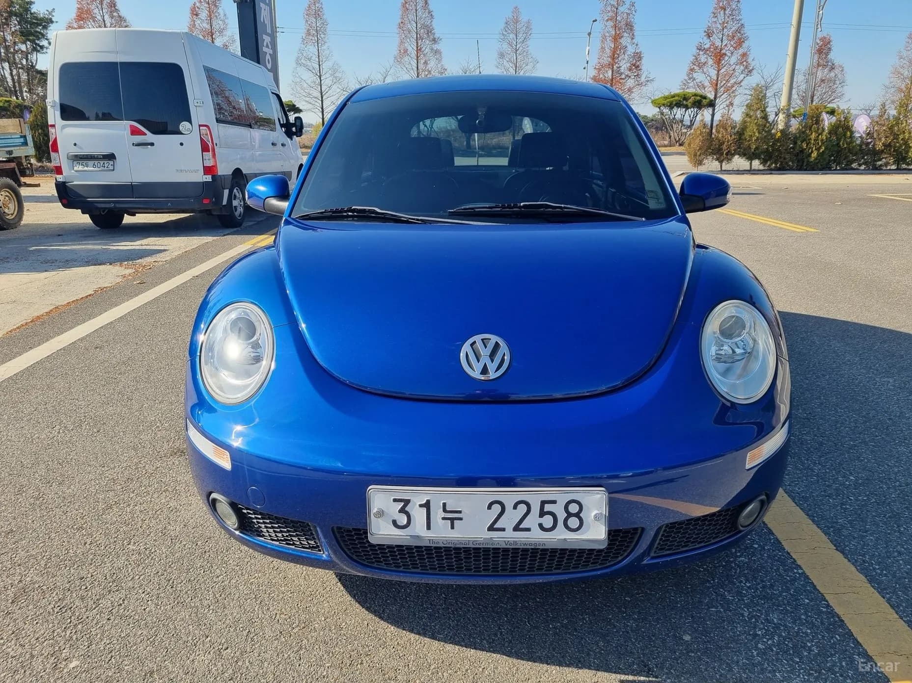 New Beetle