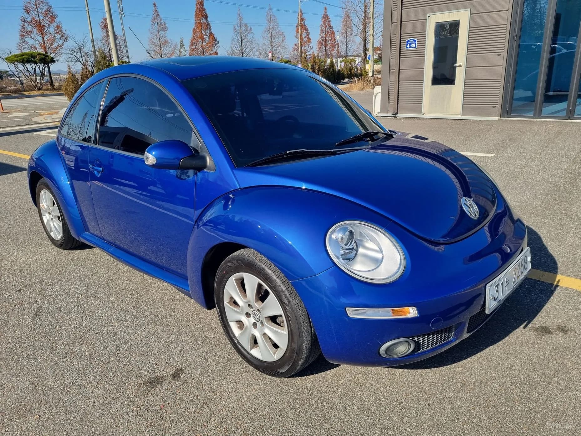 New Beetle