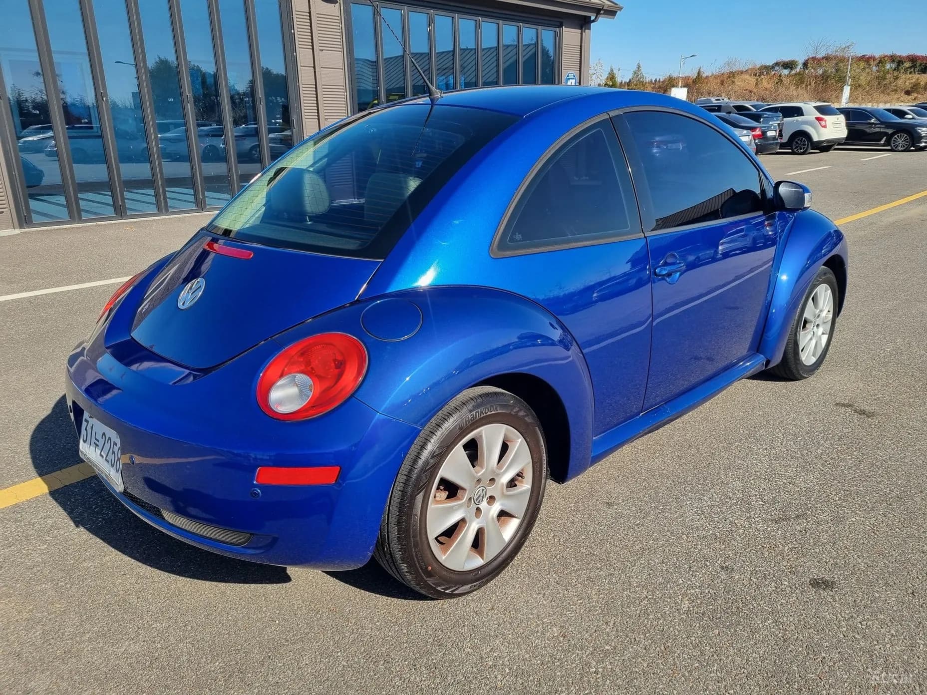 New Beetle