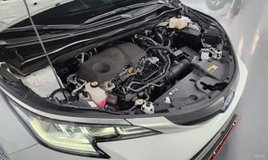 Siena 4th generation