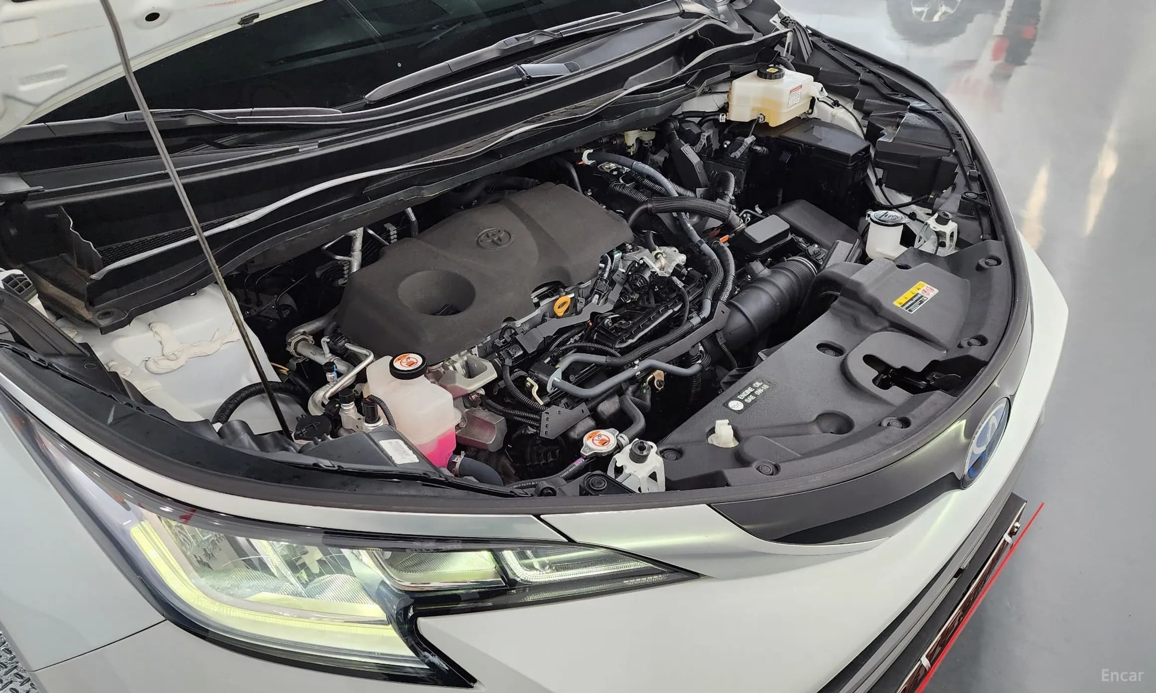 Siena 4th generation