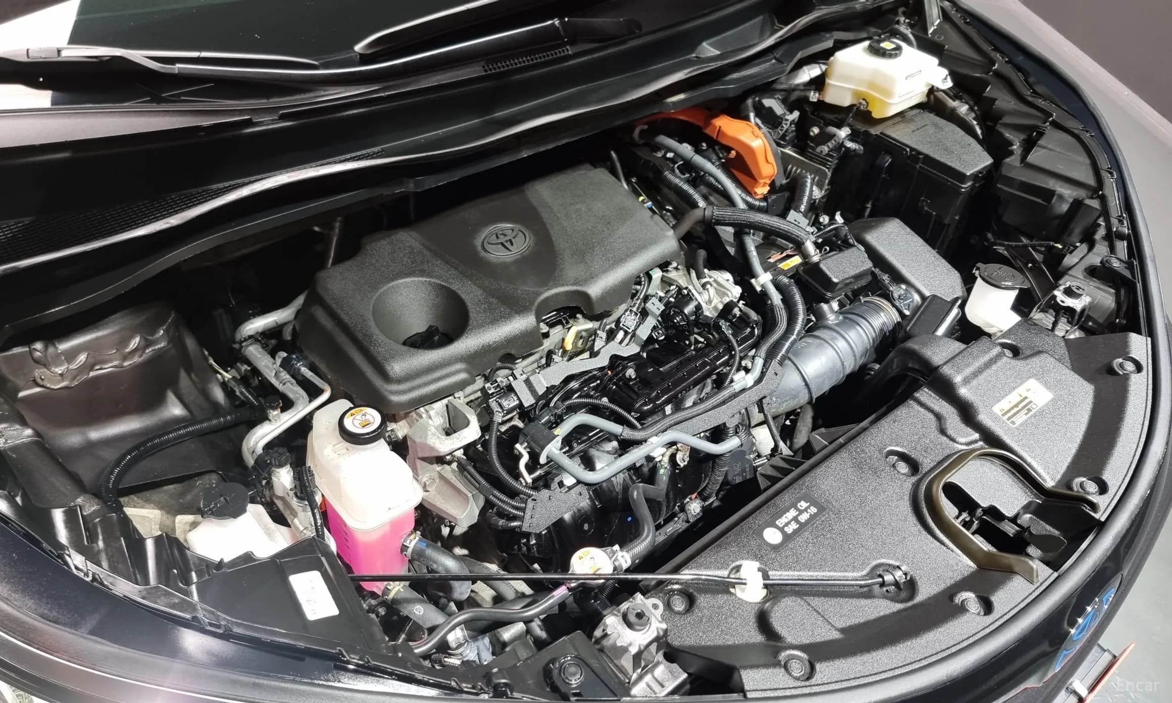 Siena 4th generation