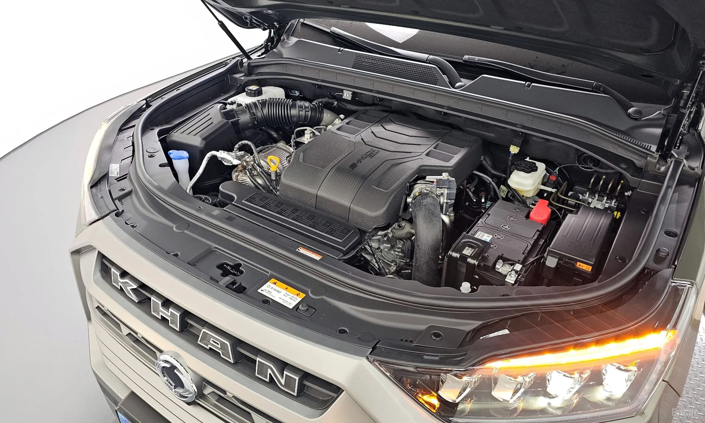 Musso Sports Cannes (Q250)