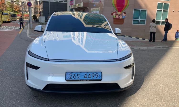 Model Y