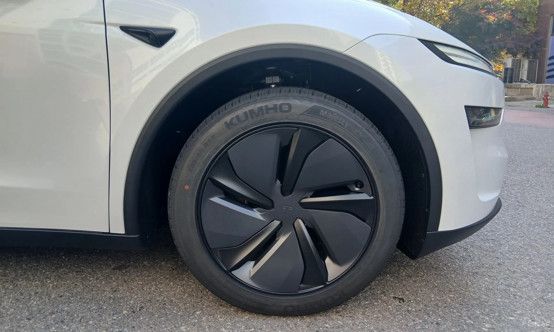 Model Y