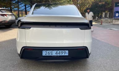 Model Y