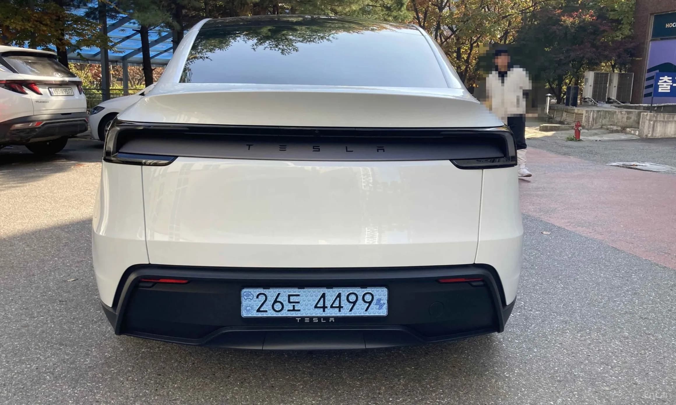 Model Y