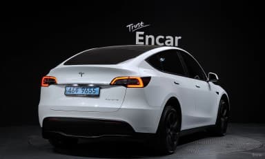 Model Y