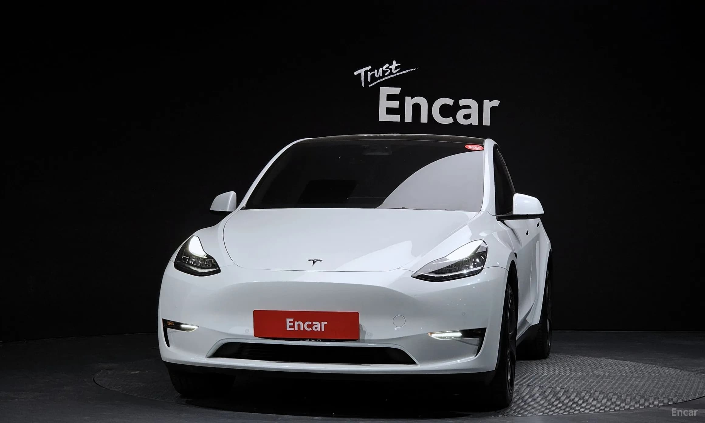 Model Y