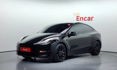 Model Y