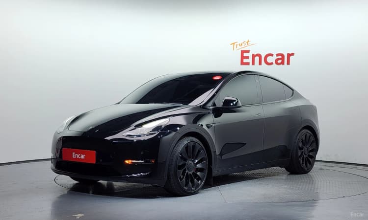 Model Y