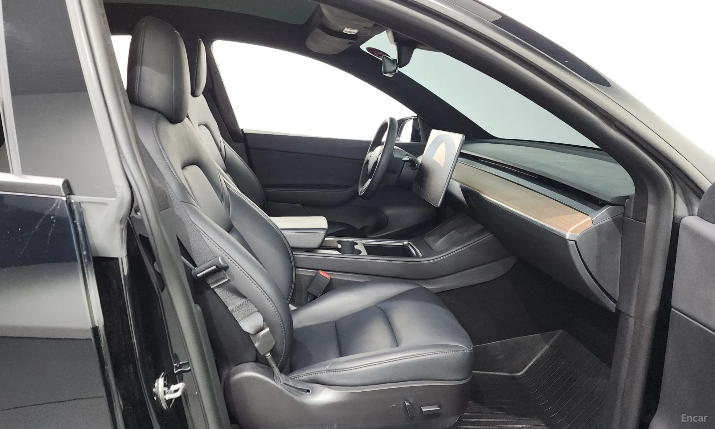 Model Y
