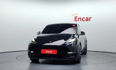 Model Y