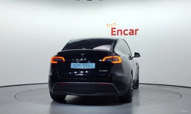 Model Y