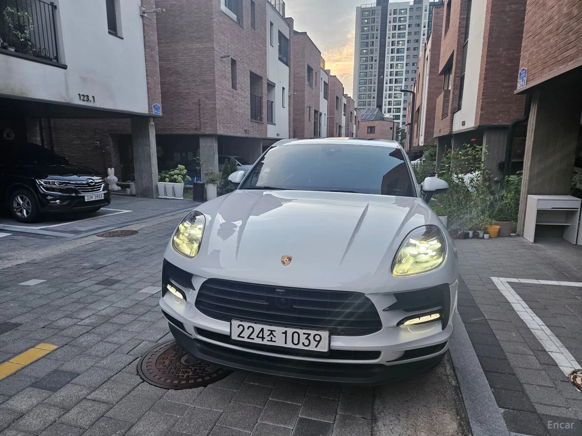 Macan