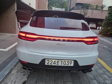 Macan