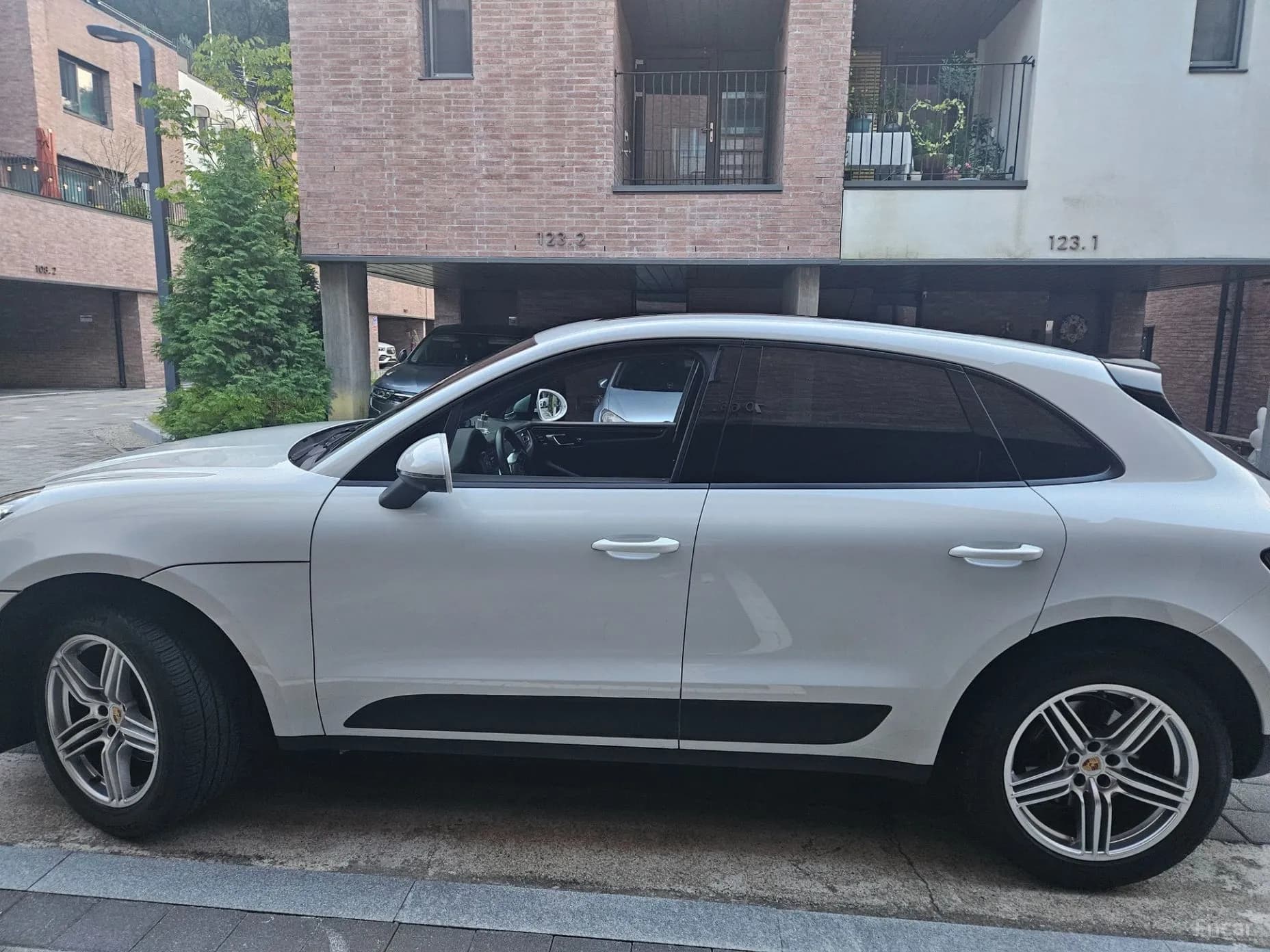 Macan