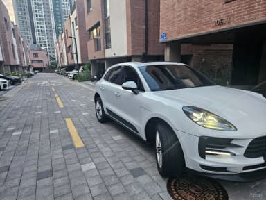 Macan