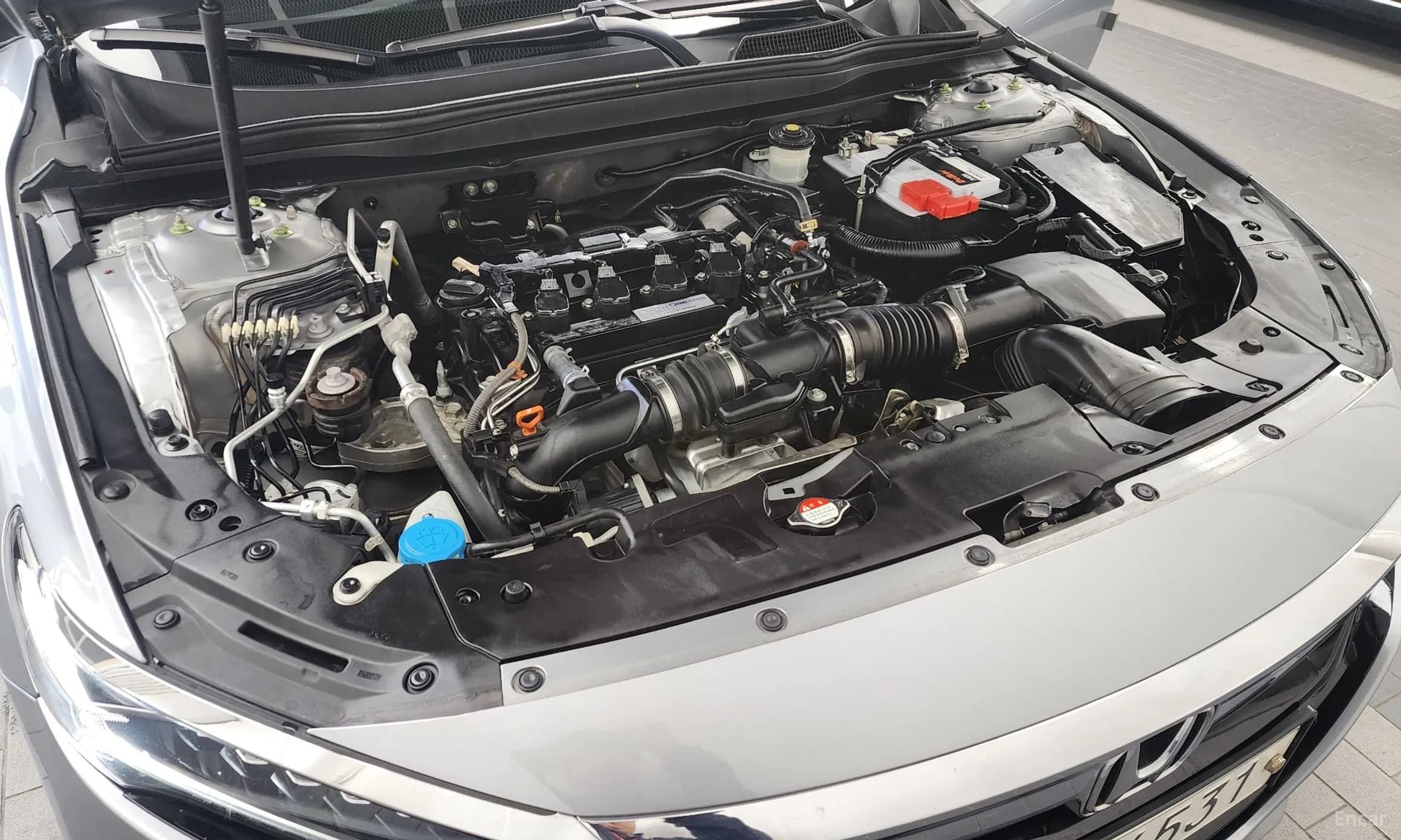 Accord 10th Generation