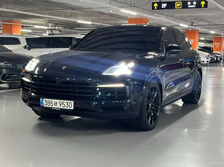 Cayenne (PO536)