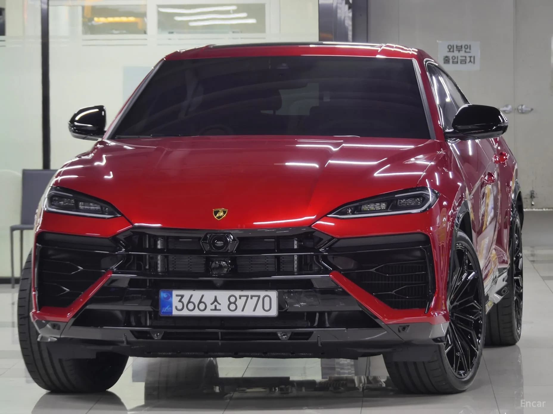 Urus