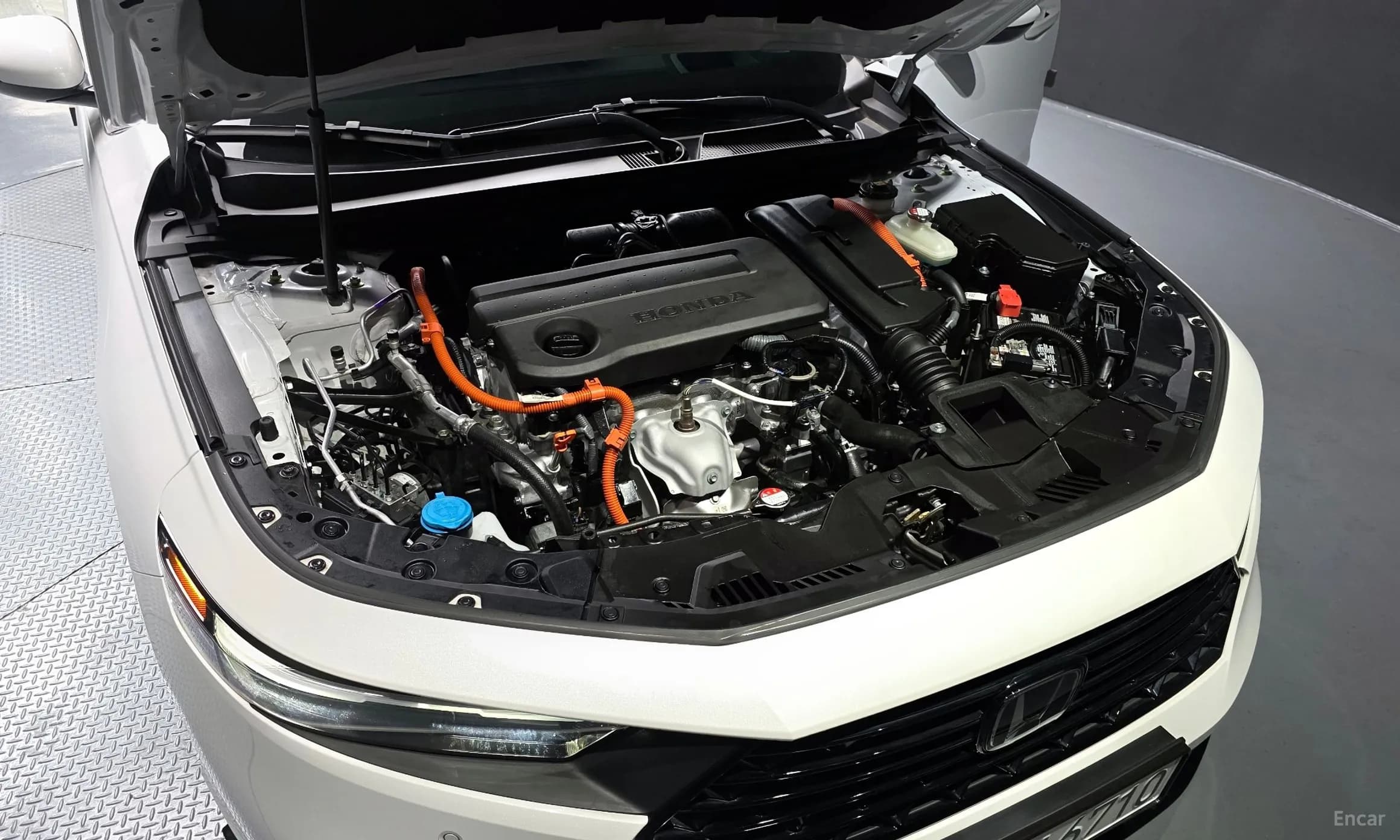 Accord 11th Generation