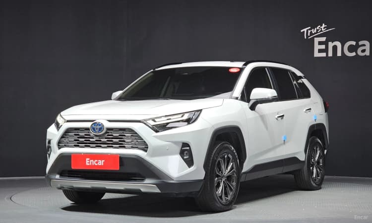 RAV4 5th Generation